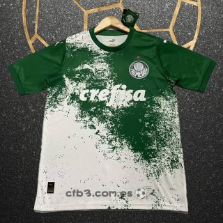 Tailandia Camiseta Palmeiras Special 2024 Verde Gris